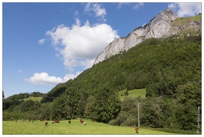 20170812-77 4013-Megevette Vallon de la chevrerie