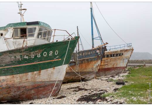 20180508-038 7615-Camaret sur Mer
