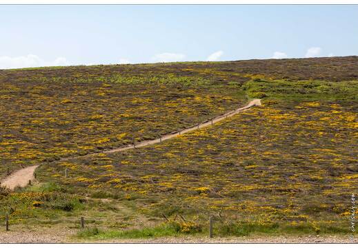 20180510-013 7794-Camaret sur Mer le Chateau de Dinan