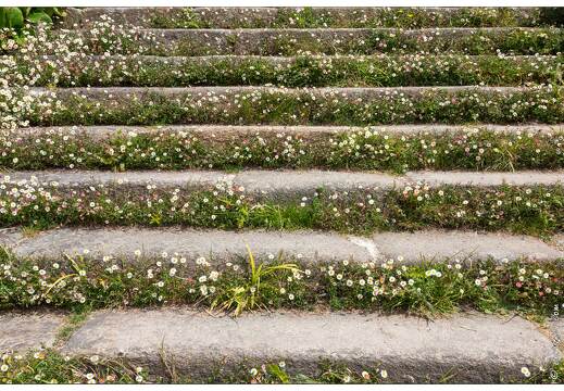 20180521-018 9177-Lannion Brelevenez escalier