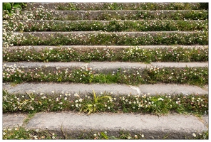 20180521-018 9177-Lannion Brelevenez escalier