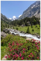 20180626-039 1347-Au lac de Gaube Vignemale