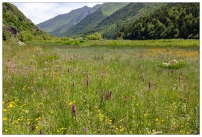 20180624-1050-Prairie Au lac d Estaing