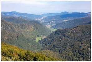 20180917-026 2805-Chemin des cretes Au Batteriekopf Vallee de Munster