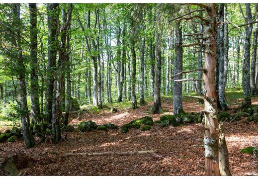 20180918-023 2846-Le Grand Ventron