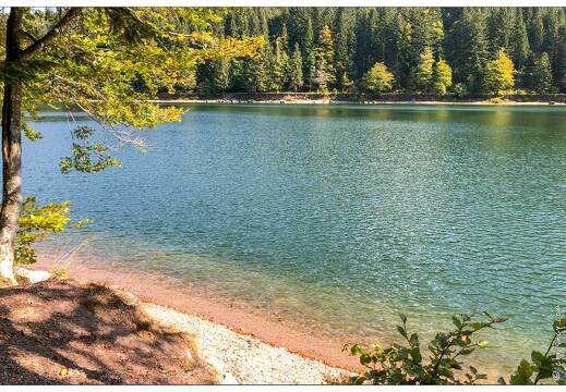 20180930-4489-La Bresse Lac des Corbeaux