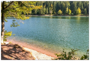 20180930-4489-La Bresse Lac des Corbeaux