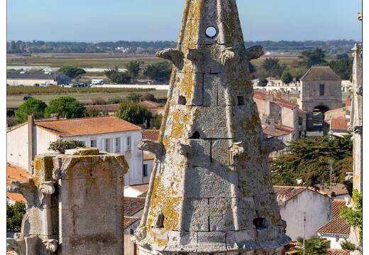 20181012-075 3287-Saint Martin de Re