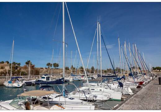 20181012-084 3304-Saint Martin de Re