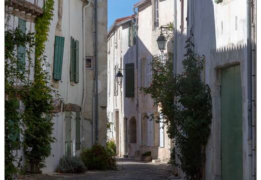 20181012-087 3342-Saint Martin de Re