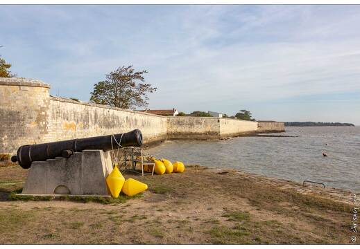 20181013-018 3418-Ile d Aix