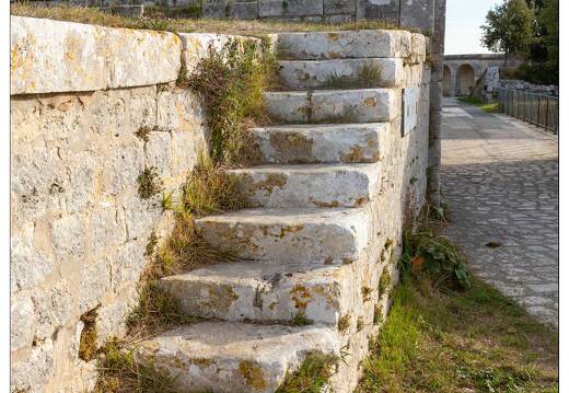 20181013-027 3437-Ile d Aix