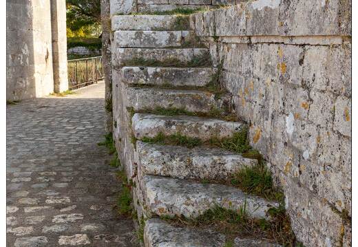 20181013-028 3455-Ile d Aix