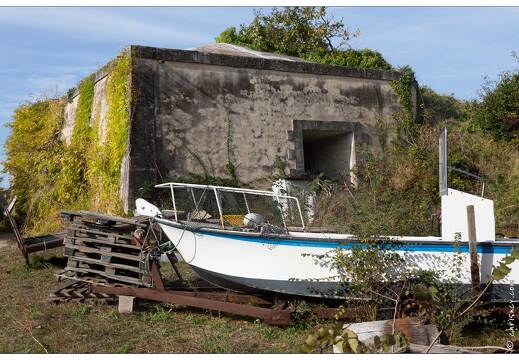 20181013-055 3476-Ile d Aix