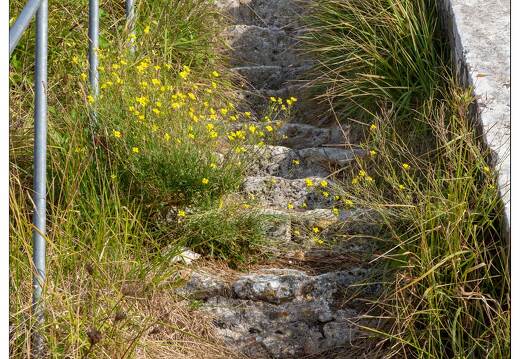 20181013-054 3469-Ile d Aix