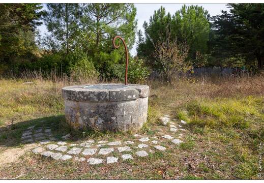 20181013-061 3493-Ile d Aix