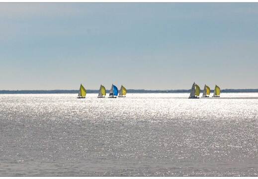 20181013-077 3528-Ile d Aix Voiliers