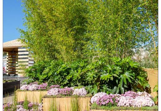 20181004-2987-Nancy Place Stan Jardin Ephemere