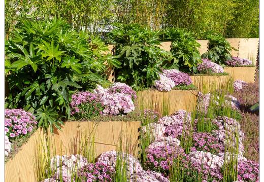 20181004-3047-Nancy Place Stan Jardin Ephemere