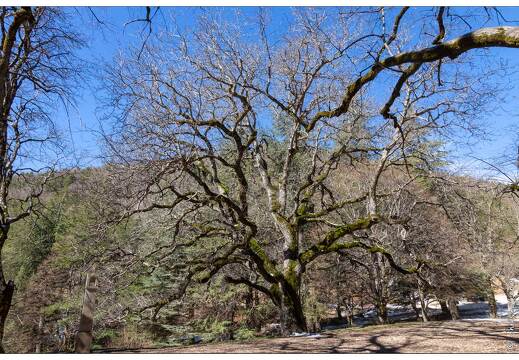 20190405-20 5153-Abbatiale de Lure