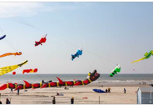 20190410-06 5285-Berck
