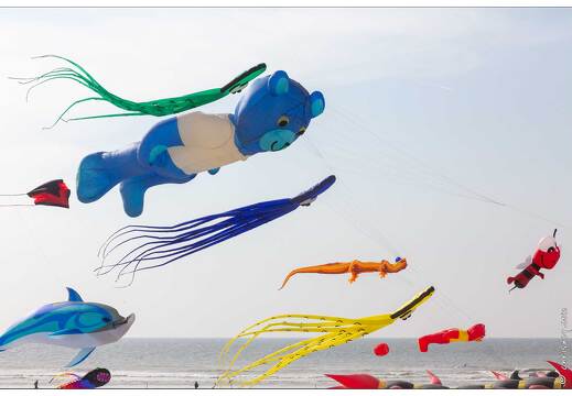 20190410-08 5287-Berck