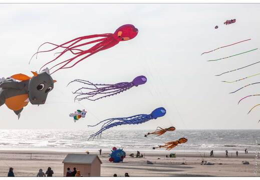 20190410-09 5288-Berck