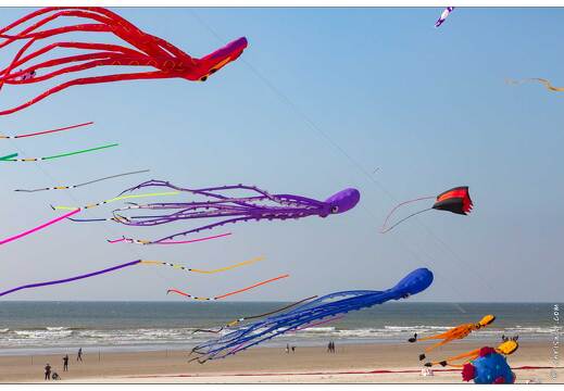 20190410-14 5294-Berck