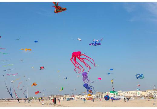 20190410-18 5302-Berck