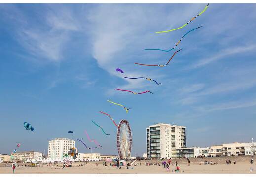 20190410-19 5305-Berck
