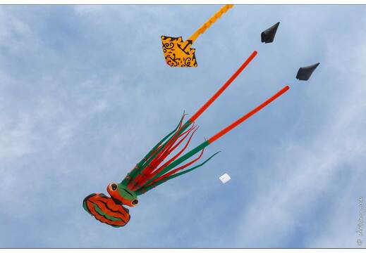 20190410-21 5307-Berck