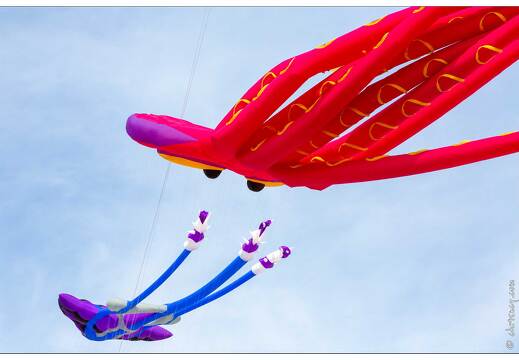 20190410-22 5310-Berck