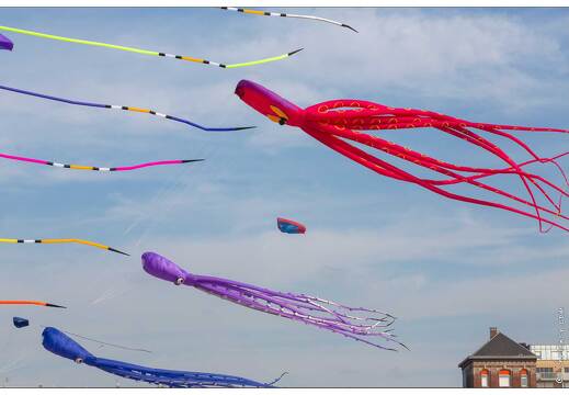 20190410-26 5313-Berck