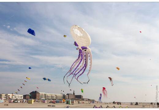 20190410-29 5319-Berck