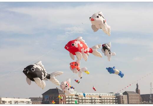 20190410-33 5323-Berck