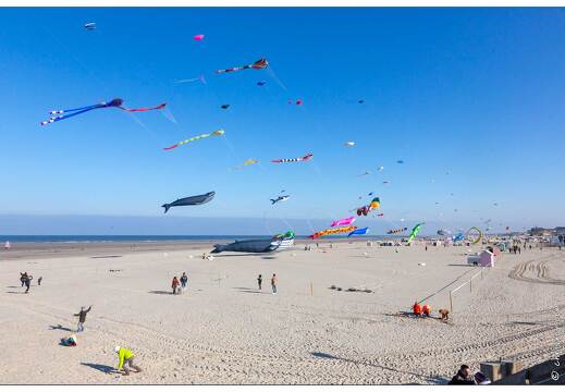 20190411-11 5359-Berck