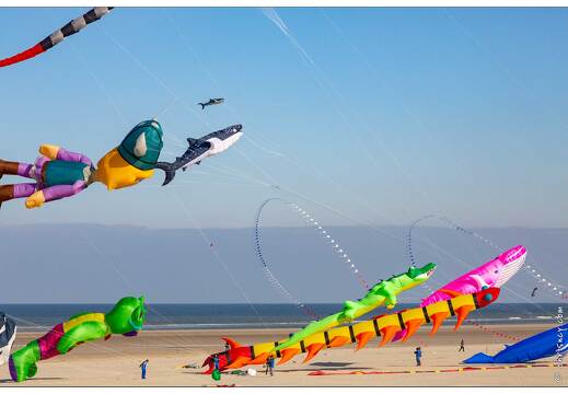 20190411-13 5361-Berck