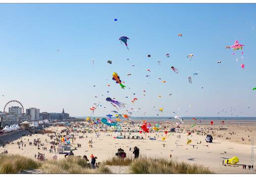 20190411-22 5385-Berck