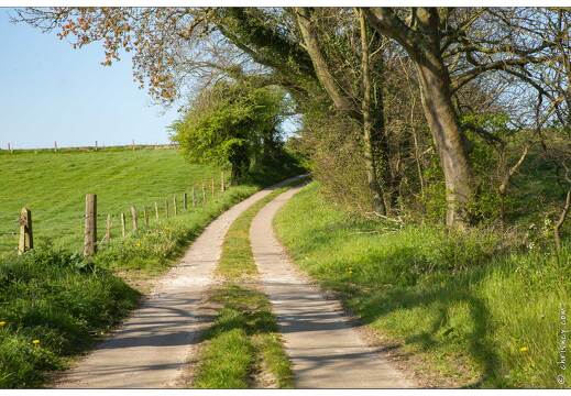 20190419-03 6150-Senneville sur Fecamp Val de la Mer