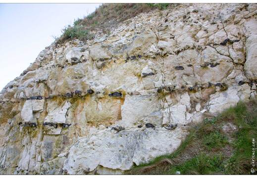 20190419-10 6159-Senneville sur Fecamp Val de la Mer