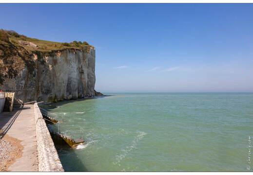 20190419-16 6179-Saint Pierre en Port Les Grandes Dalles