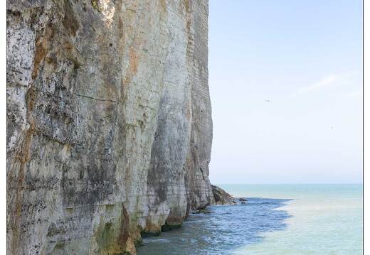 20190419-17 6180-Saint Pierre en Port Les Grandes Dalles