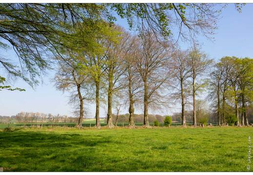 20190420-94 6306-Ecretteville les Baons Ferme cauchoise