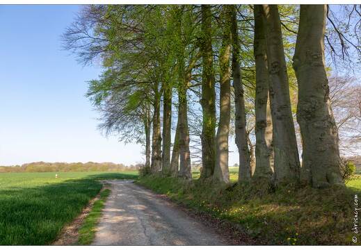 20190420-95 6307-Ecretteville les Baons Ferme cauchoise