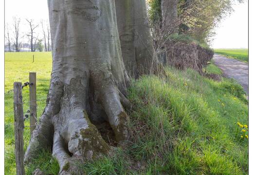 20190420-96 6308-Ecretteville les Baons Ferme cauchoise
