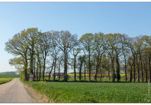 20190420-98 6311-Ancourteville sur Hericourt Ferme cauchoise