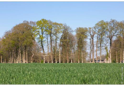20190420-99 6312-Ancourteville sur Hericourt Ferme cauchoise