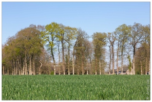 20190420-99 6312-Ancourteville sur Hericourt Ferme cauchoise