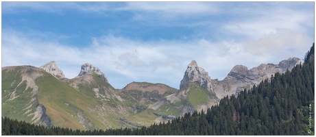 20190816-59 7969-Au Col de la Colombiere Aravis