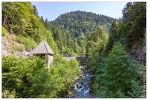 20190823-31 8446-Dans les Gorges du Guiers mort